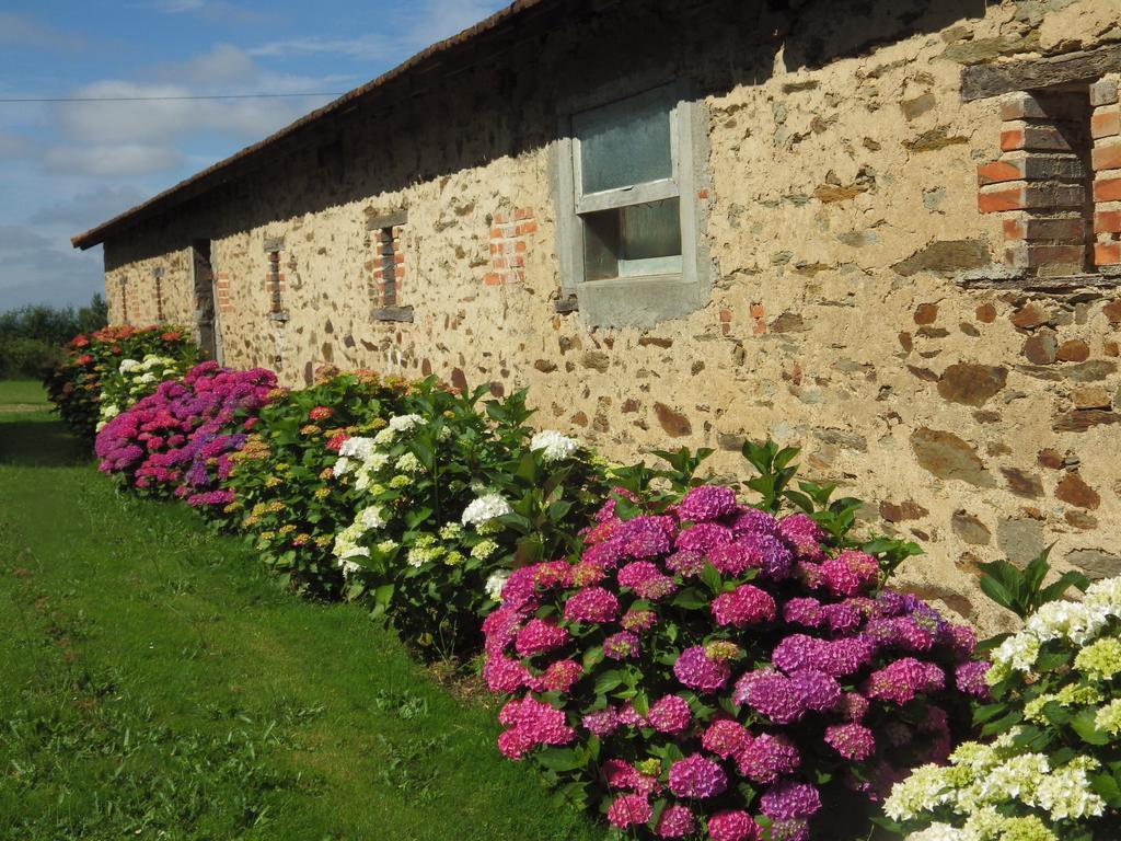 A La Haute Bouillere Bed and Breakfast Chavagnes-les-Redoux Esterno foto