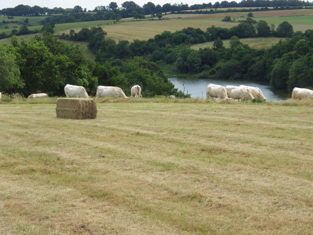 A La Haute Bouillere Chavagnes-les-Redoux Esterno foto