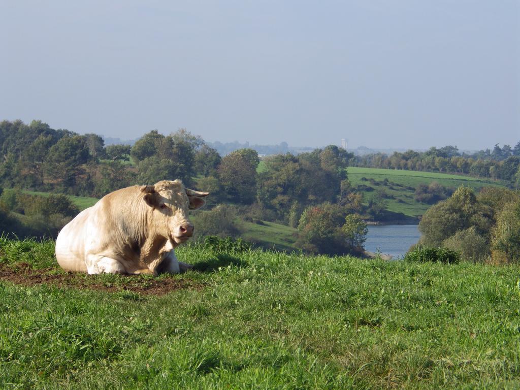 A La Haute Bouillere Chavagnes-les-Redoux Esterno foto