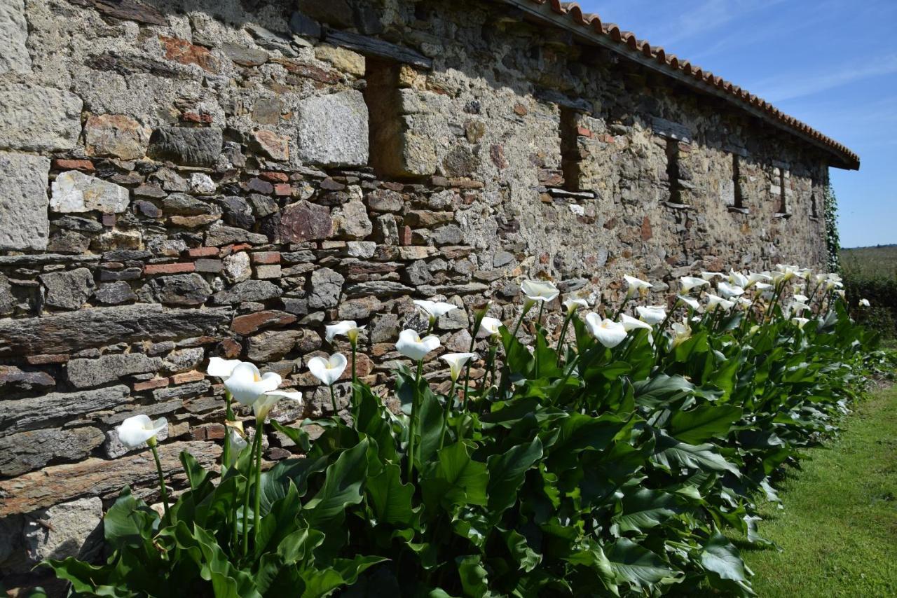 A La Haute Bouillere Chavagnes-les-Redoux Esterno foto