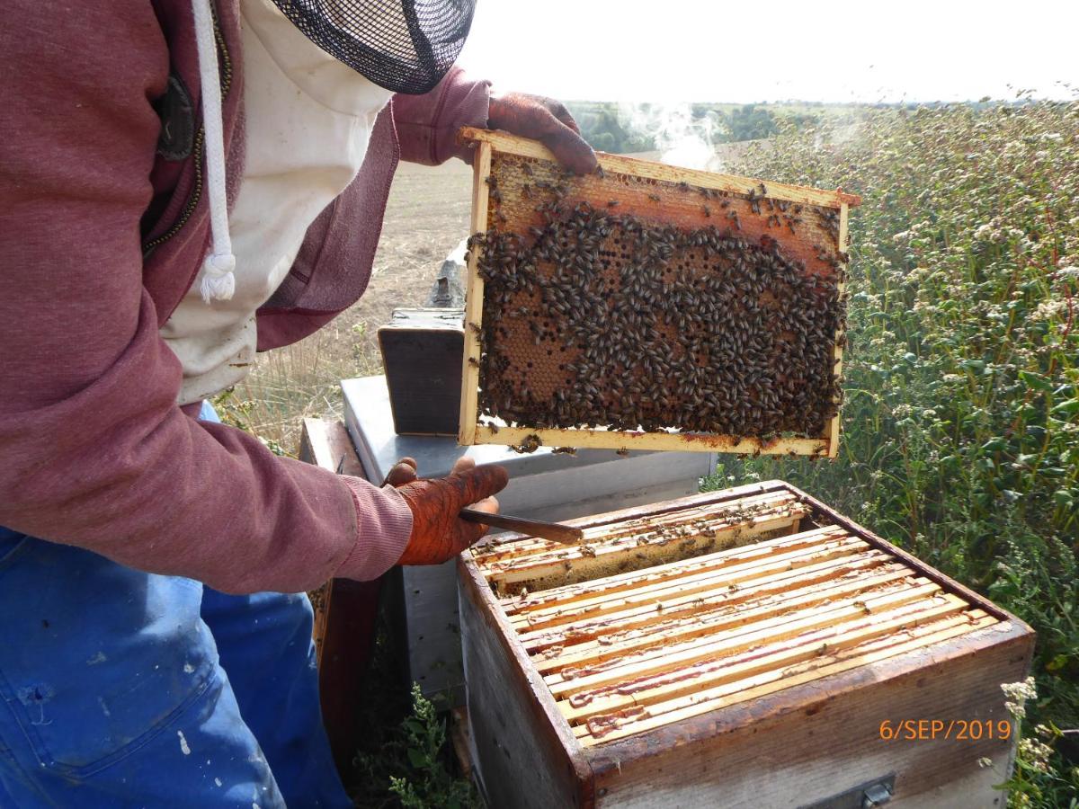 A La Haute Bouillere Chavagnes-les-Redoux Esterno foto